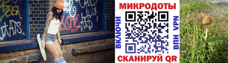 купить цена Петушки Галлюциногенные грибы MAGIC MUSHROOMS